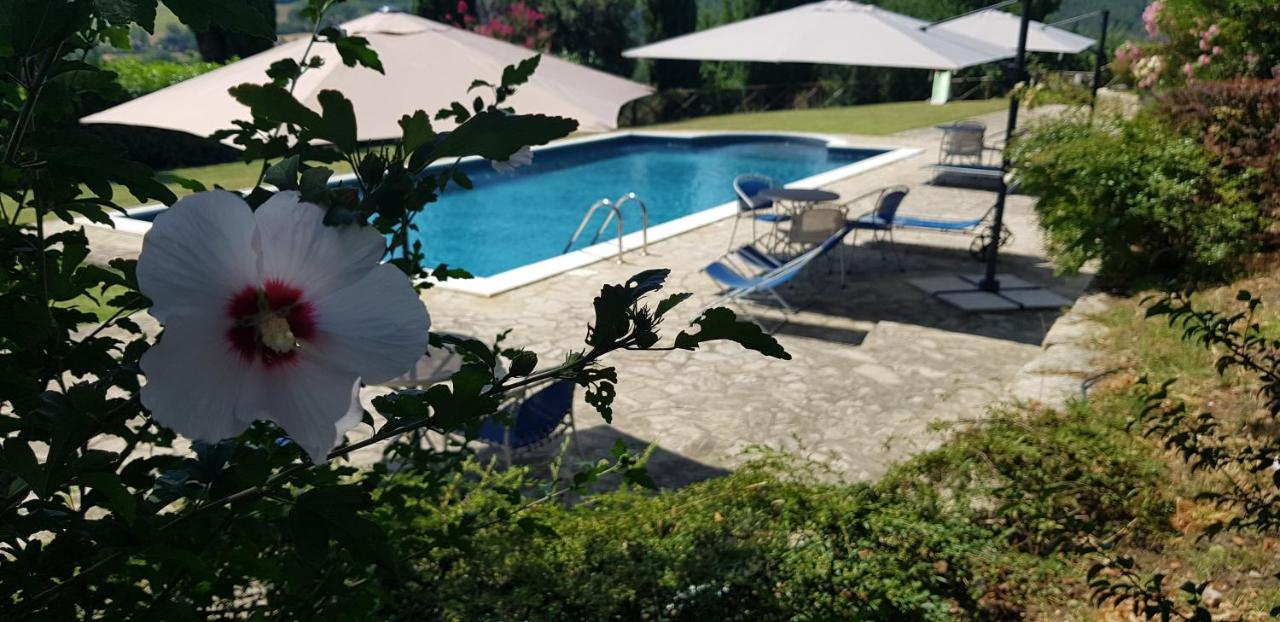 Case In Campagna Con Piscina A Todi Bagian luar foto